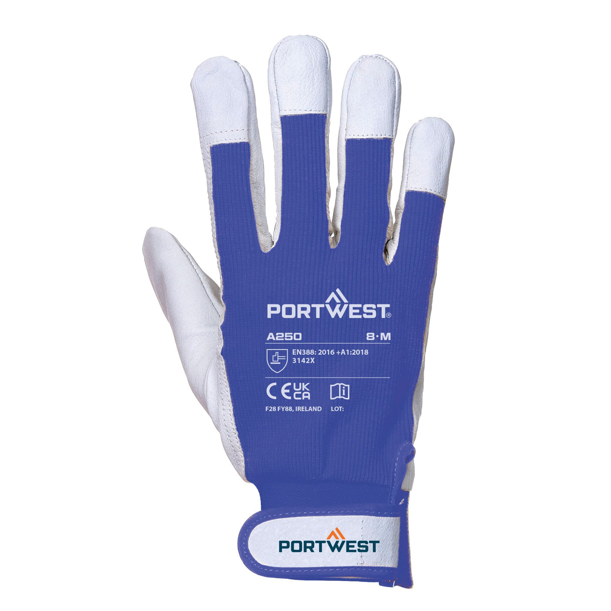 A250 - Tergsus Handschoen - Portwest