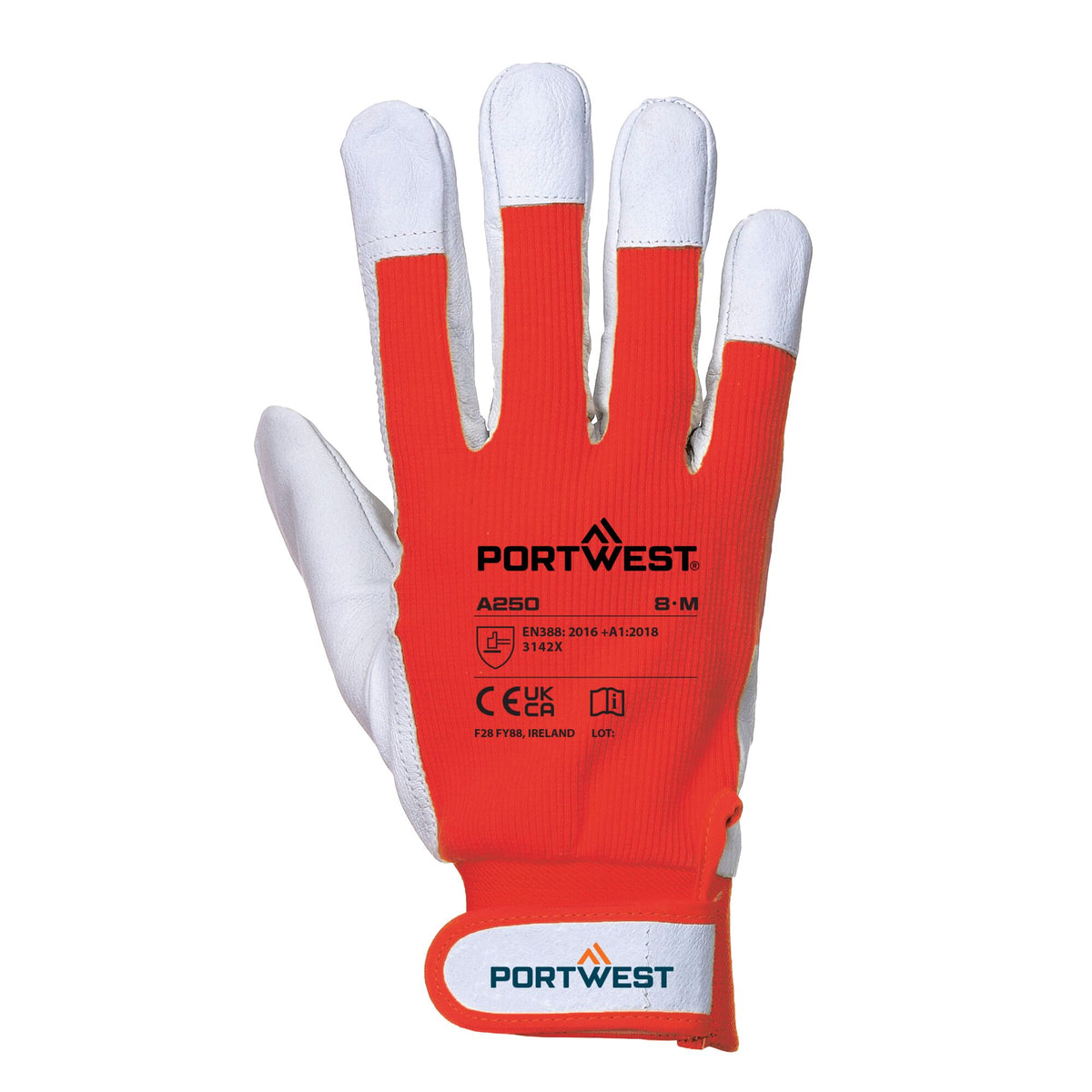 A250 - Tergsus Handschoen - Portwest