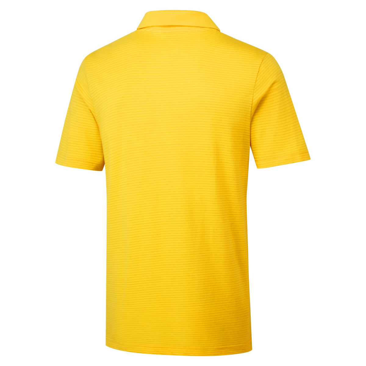 Antistatisches ESD-Poloshirt - Portwest AS21