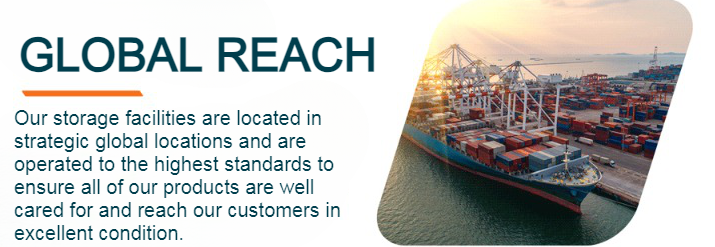 Image of a container ship in the harbor along with a description of Portwest's global reach.