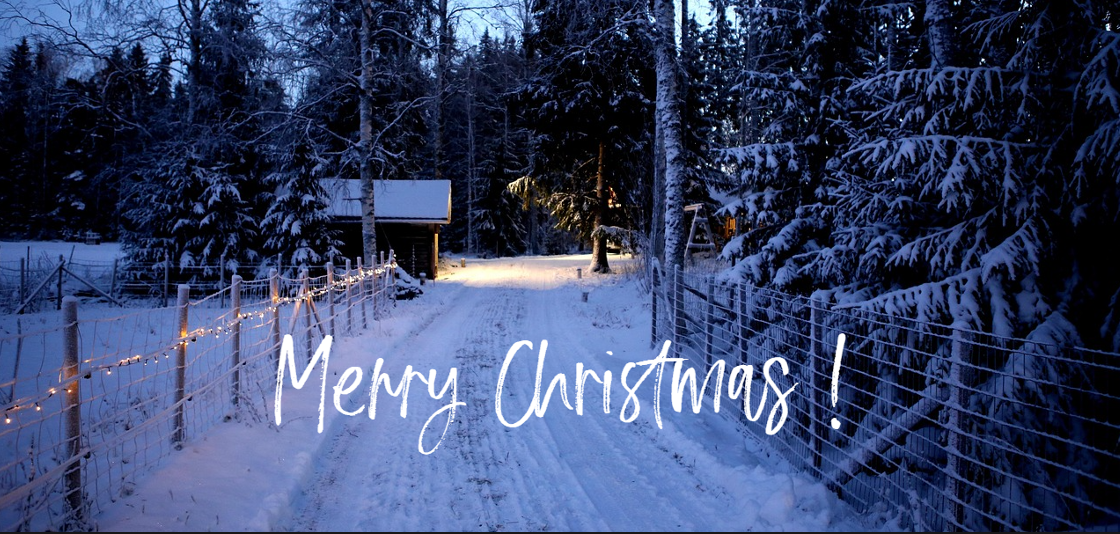 Fenced path on the edge of the forest illuminated with Christmas lights. In the left background there is a small wooden hut surrounded by snow-covered trees. The scene was photographed in the blue evening light. The image bears a white, handwritten inscription with the words “Merry Christmas!”