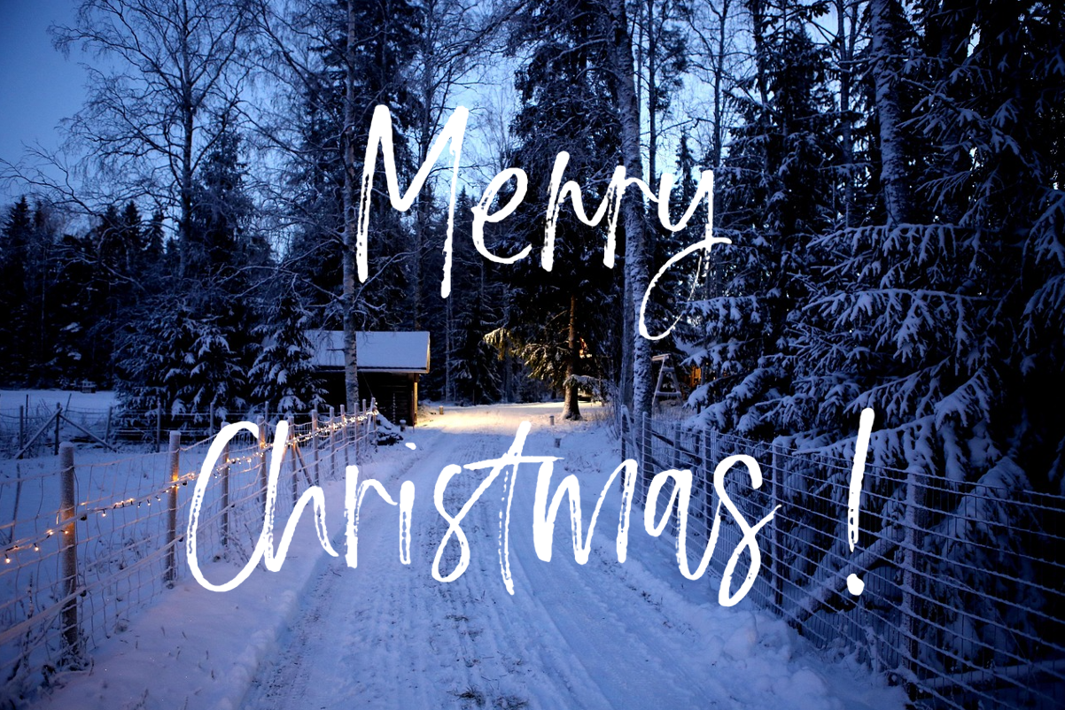 Fenced path on the edge of the forest illuminated with Christmas lights. In the left background there is a small wooden hut surrounded by snow-covered trees. The scene was photographed in the blue evening light. The image bears a white, handwritten inscription with the words “Merry Christmas!”