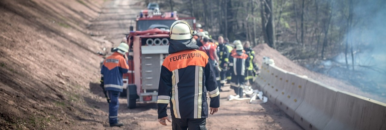 Rear view of a firefighter in full gear. In the background you can see a fire engine on a forest path and a group of firefighters at work.