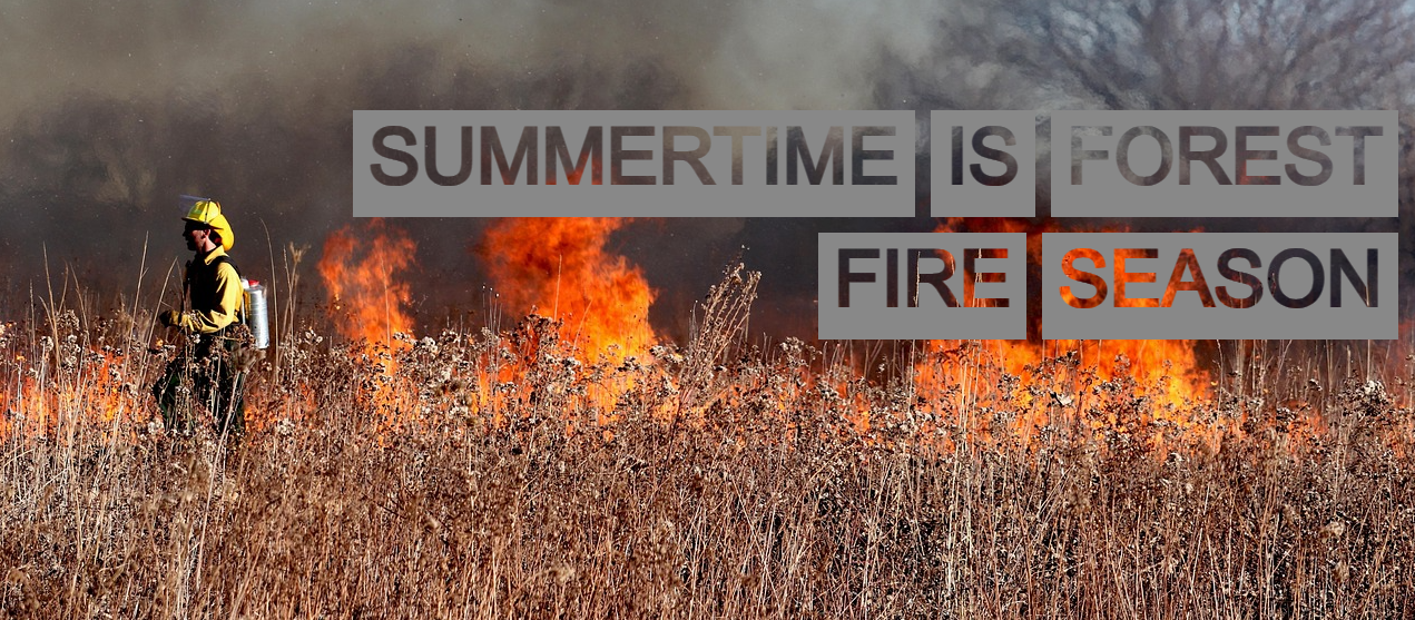 A firefighter in yellow protective gear moves through a dry, burning field. High flames blaze in the background, and the sky is darkened by smoke. Above the image, in large, high-contrast letters, is the caption: "Summertime is wildfire time." Part of the text has a transparent background, allowing the flames to shine through.