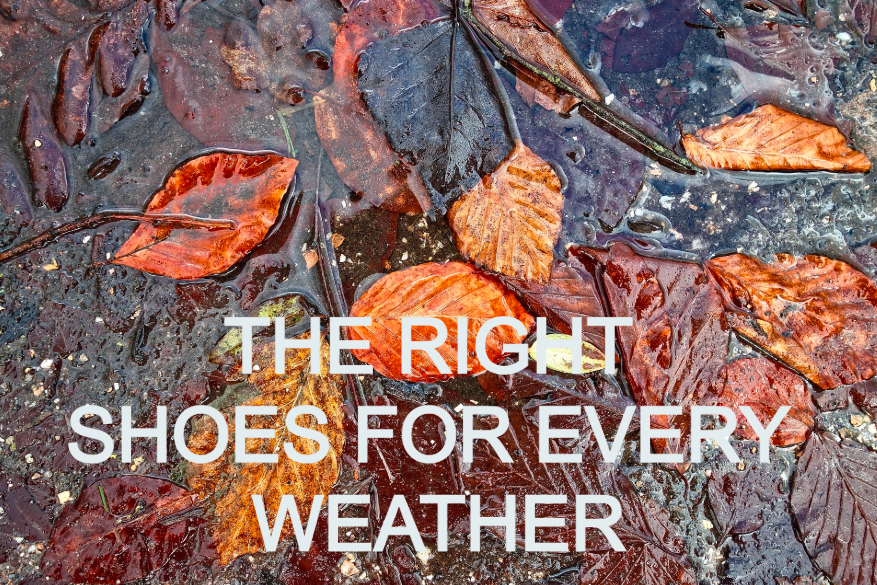 Colorful autumn leaves lie on a rain-soaked ground. Above it, in white letters, the slogan: 'The right shoes for any weather'. A link to our Aqua shoes is provided.